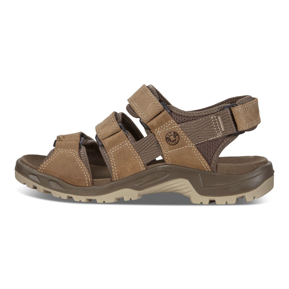 Sandalias Hombre - ECCO Offroad Flat - Marrom - TYQ159783